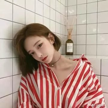 金石情